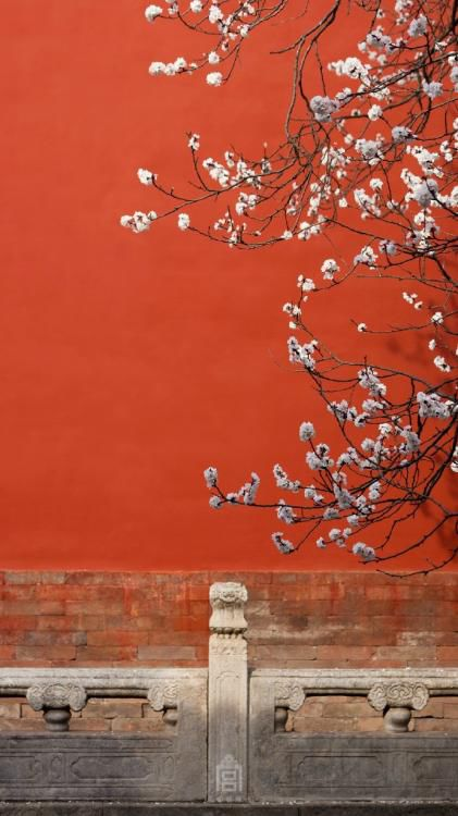微信图片_20180204103524.png