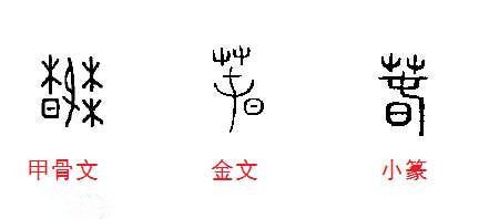 微信图片_20180204105055_副本.jpg