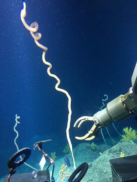 timg (2).jpg timg (2).jpg