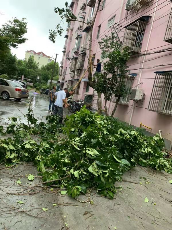抗台3.jpg