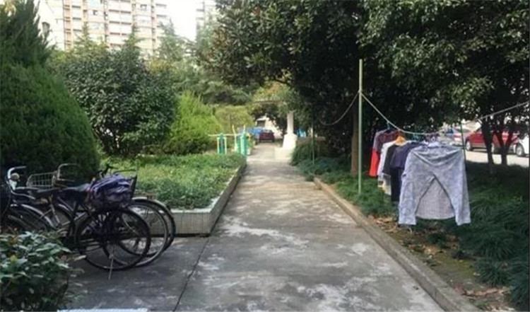 花园改造前.jpg