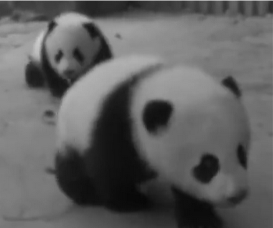 微信截图_20200707102238.png