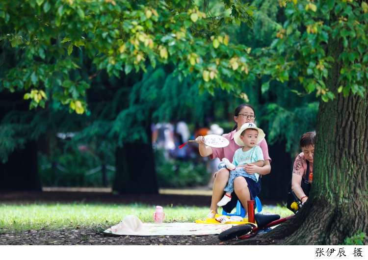 2892199_w750.jpg 2892199_w750.jpg