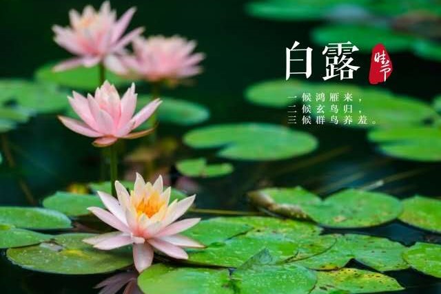 微信图片_20200906222657.jpg