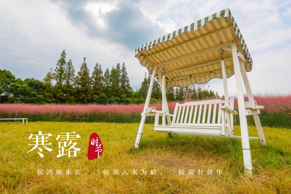 寒露1.jpg