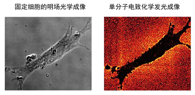 内 13114915_副本.jpg 内 13114915_副本.jpg