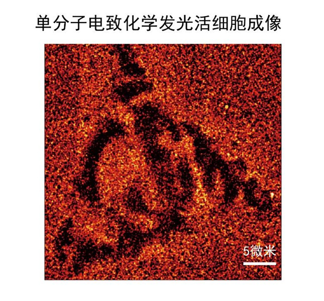 内 13114213_副本.jpg 内 13114213_副本.jpg