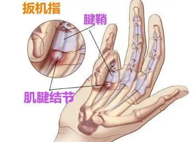 图片1.jpg
