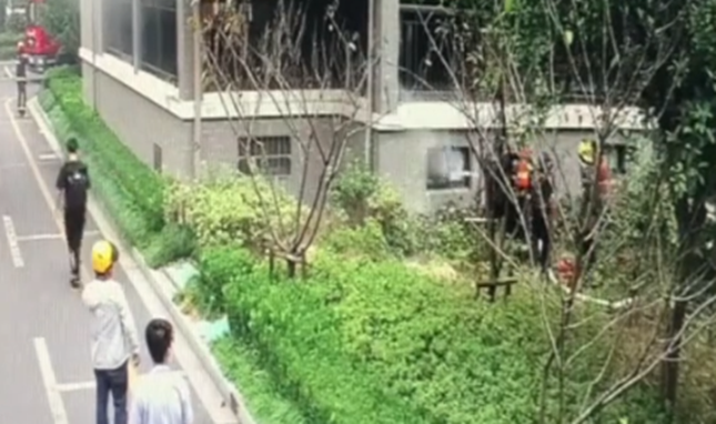 内 09095559_副本.png