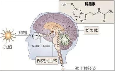 微信图片_20211026161214.jpg 微信图片_20211026161214.jpg
