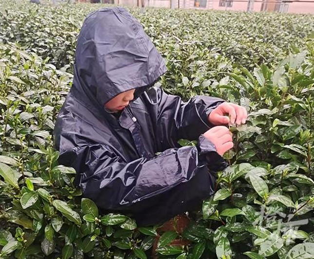 nei 38a48814fd688210f_副本.jpg nei 38a48814fd688210f_副本.jpg