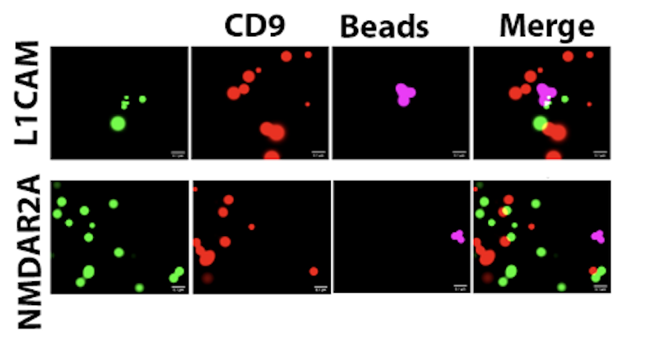 nei  4141331_副本.png