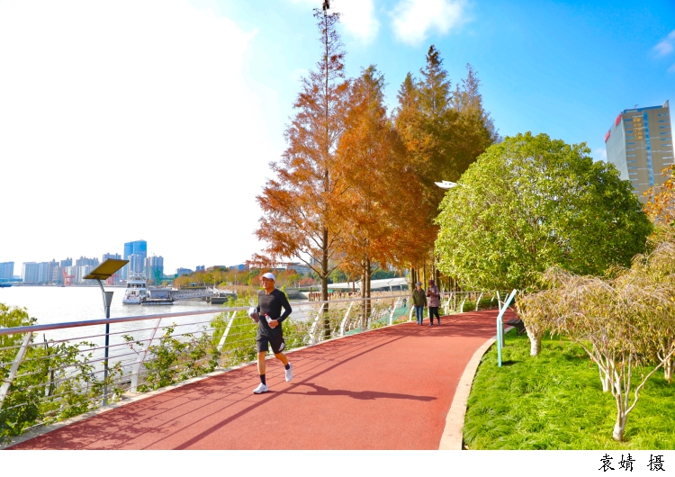 3019083_w750.jpg 3019083_w750.jpg