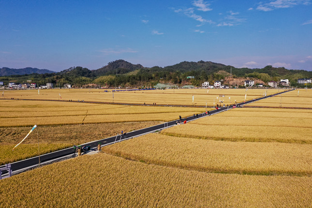 内 623d4280b12730c5_副本.jpg