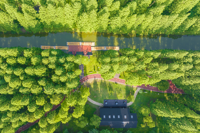 黄海森林1.png 黄海森林1.png