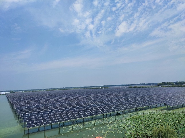 沛县1.jpg 沛县1.jpg